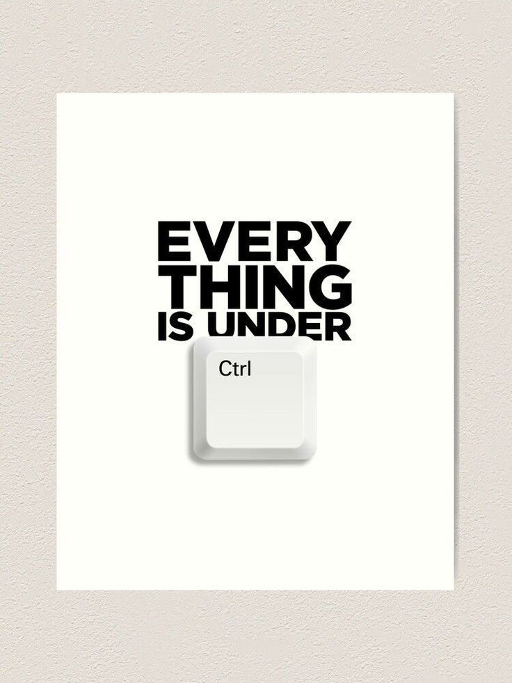 everythingisunderctrl.jpeg